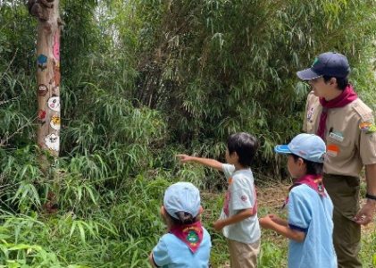 ビーバー隊2024年6月2日（日）　4つのビーバー隊が集合！合同デイキャンプ