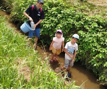 ビーバー隊_2024年7月28日(日)　ほかの団と合同でホタルの育成活動