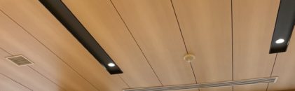 ビーバー隊　2026年2月22日（日）　入隊式とB-P祭